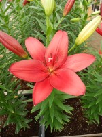 [5079 Atacama No02.JPG]